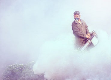 Pest Control Services